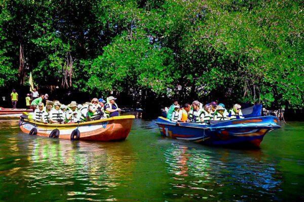 Lagoon Safari with tourists in a boat